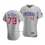 Camiseta Beisbol Hombre Chicago Cubs Adbert Alzolay Autentico Road Gris