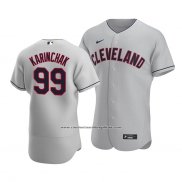 Camiseta Beisbol Hombre Cleveland Indians James Karinchak Autentico Road Gris