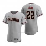Camiseta Beisbol Hombre Arizona Diamondbacks Jake Lamb Autentico 2020 Road Gris Camiseta Beisbol Hombre Arizona Diamondbacks Jake Lamb Autentico 2020 Road Gris