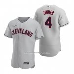 Camiseta Beisbol Hombre Cleveland Indians Bradley Zimmer Autentico 2020 Road Gris Camiseta Beisbol Hombre Cleveland Indians Bradley Zimmer Autentico 2020 Road Gris