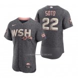 Camiseta Beisbol Hombre Washington Nationals Juan Soto 2022 City Connect Autentico Gris