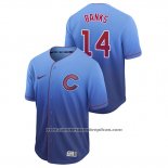 Camiseta Beisbol Hombre Chicago Cubs Ernie Banks Fade Autentico Azul