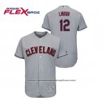 Camiseta Beisbol Hombre Cleveland Indians Francisco Lindor Flex Base Gris Camiseta Beisbol Hombre Cleveland Indians Francisco Lindor Flex Base Gris
