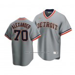 Camiseta Beisbol Hombre Detroit Tigers Tyler Alexander Cooperstown Collection Road Gris