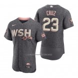 Camiseta Beisbol Hombre Washington Nationals Nelson Cruz 2022 City Connect Autentico Gris