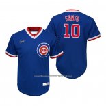 Camiseta Beisbol Nino Chicago Cubs Ron Santo Cooperstown Collection Road Azul