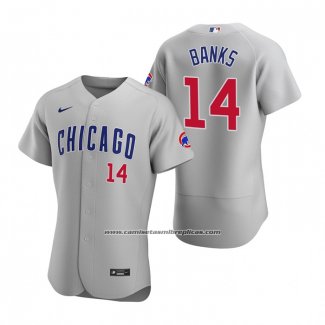 Camiseta Beisbol Hombre Chicago Cubs Ernie Banks Autentico 2020 Road Gris