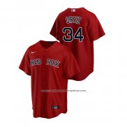 Camiseta Beisbol Hombre Boston Red Sox David Ortiz Replica Alterno Rojo