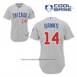 Camiseta Beisbol Hombre Chicago Cubs 14 Ernie Banks Gris Cool Base