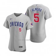 Camiseta Beisbol Hombre Chicago Cubs Albert Almora Jr. Autentico 2020 Road Gris