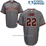 Camiseta Beisbol Hombre Arizona Diamondbacks 22 Jake Lamb Gris 2017 Cool Base